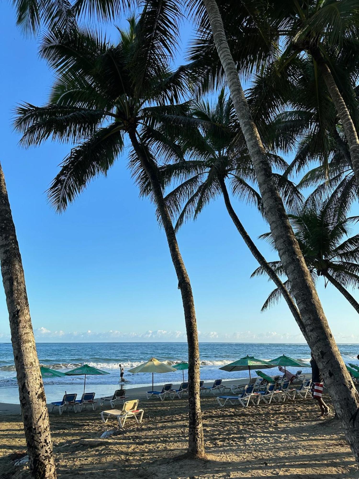 Catalina, Cabrera Oceanview Multi 2 Bd 2 Bath Condo Units With Balcony And Pool Exterior foto