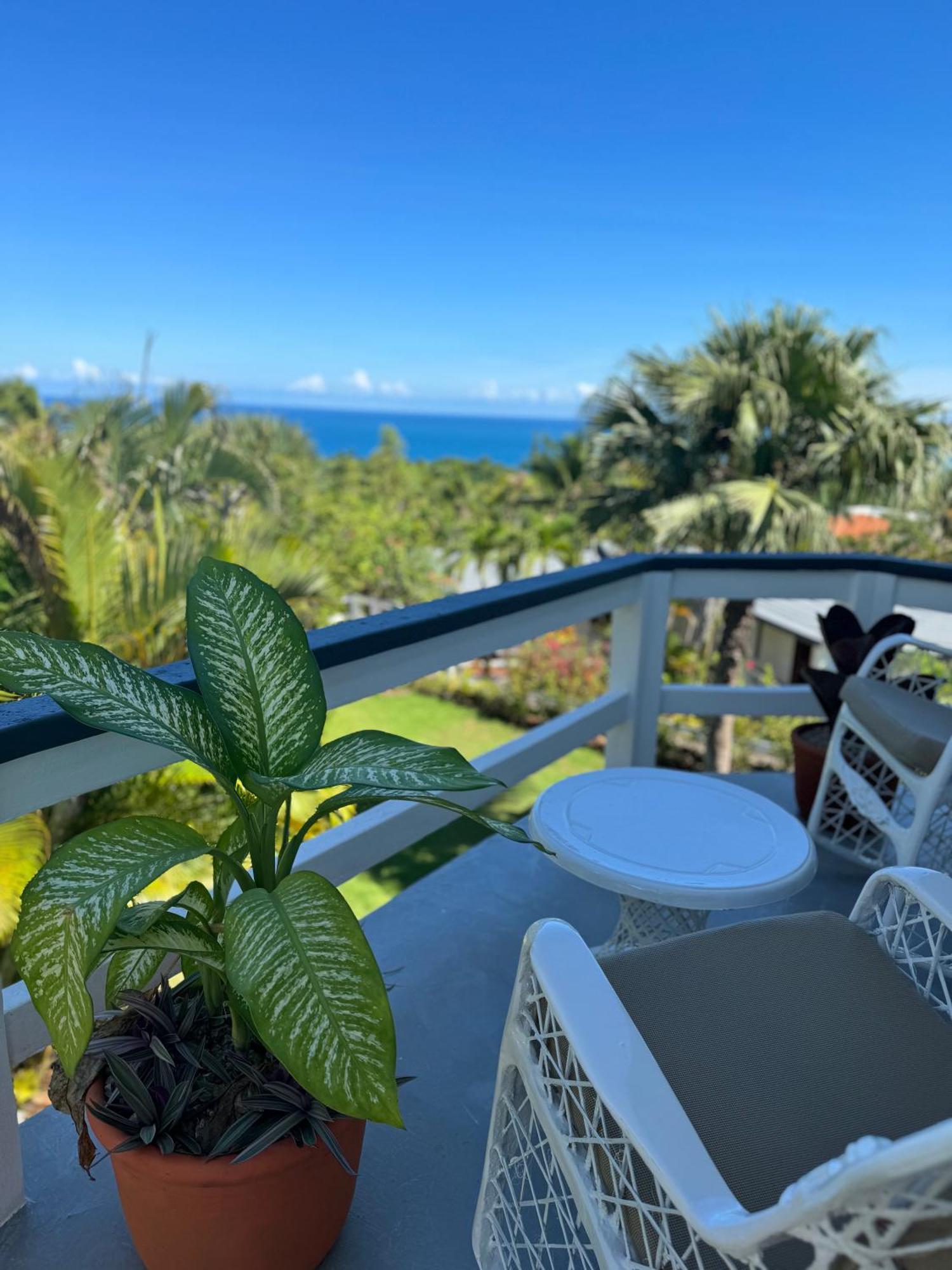 Catalina, Cabrera Oceanview Multi 2 Bd 2 Bath Condo Units With Balcony And Pool Exterior foto